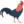 đá gà